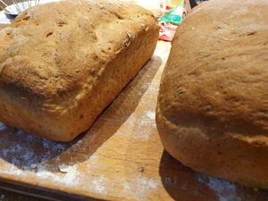 Two loafs of bread side.jpg