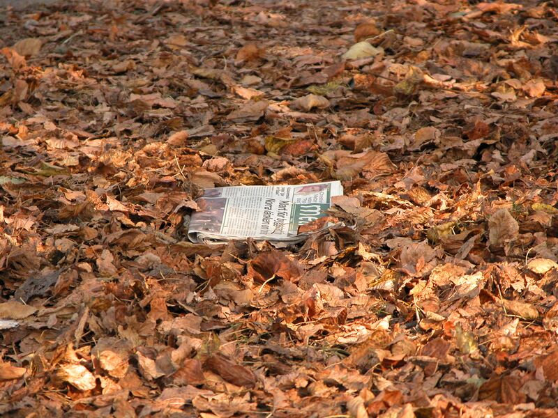 File:Autumn leaves with news paper.jpg