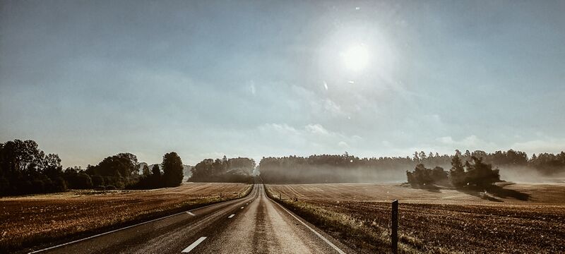 File:Morning mist over road 57.jpg