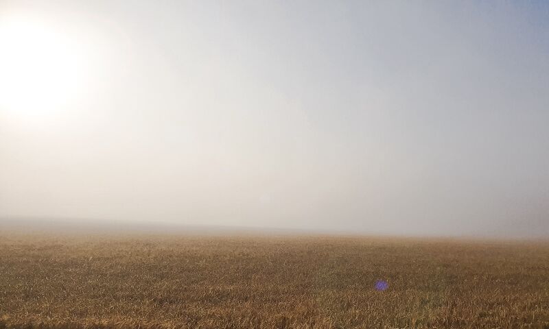 File:Heavy morning mist over the field.jpg