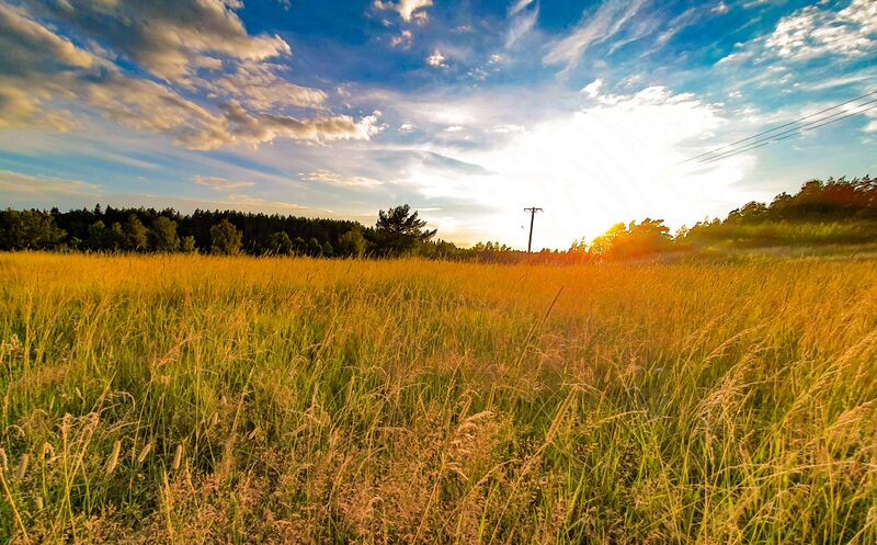 File:Summer meadow at dusk.jpg